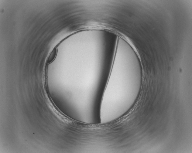 X0000068321195200604211004