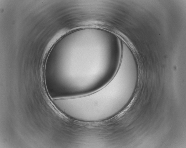 X0000068321196200604211004