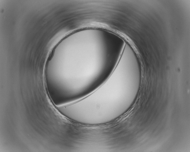 X0000068321199200604211003