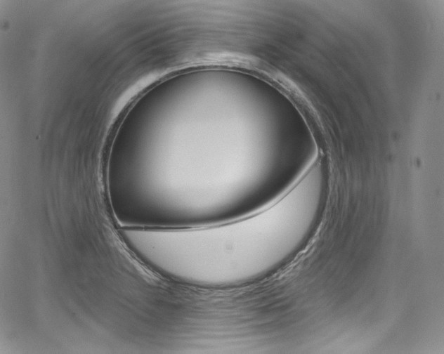 X0000068321230200604211003
