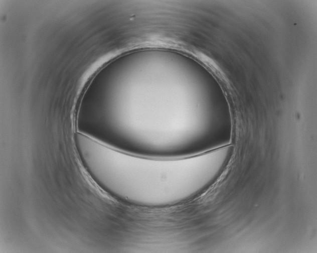 X0000068321238200604211003