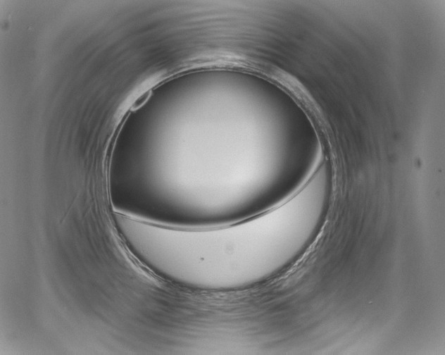 X0000068321242200604211003