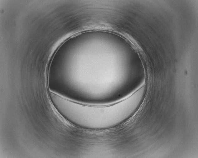 X0000068321246200604211003
