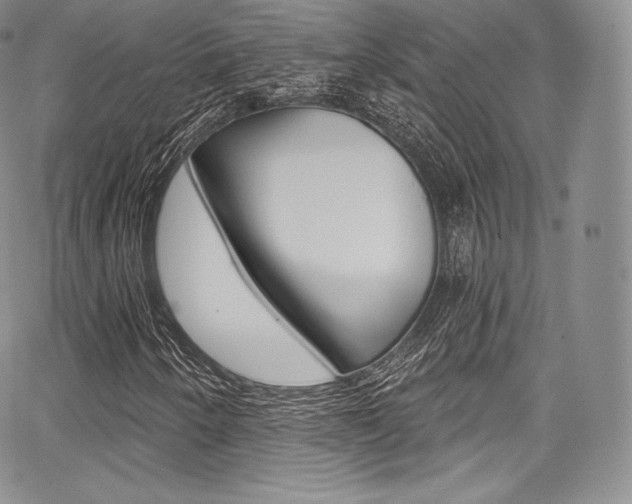 X0000068321250200604211003