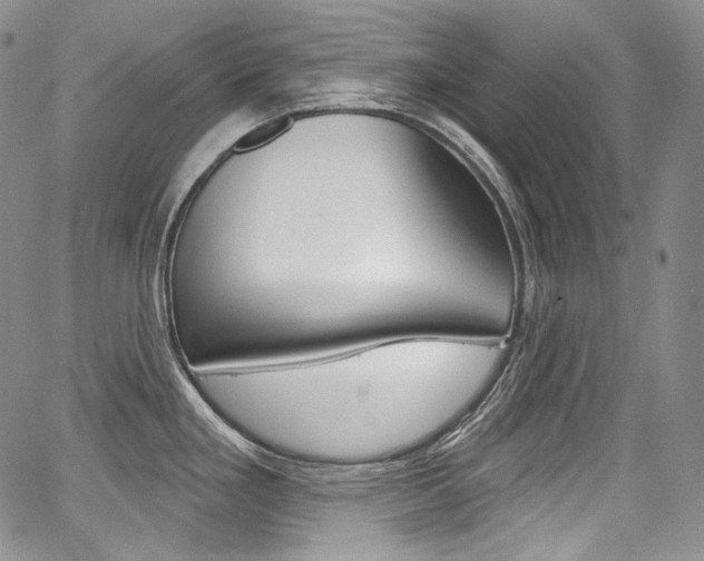 X0000068321293200604211002