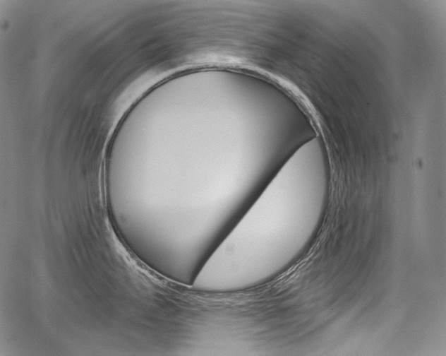 X0000068321295200604211002
