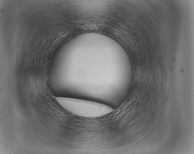 X0000068321297200604211001