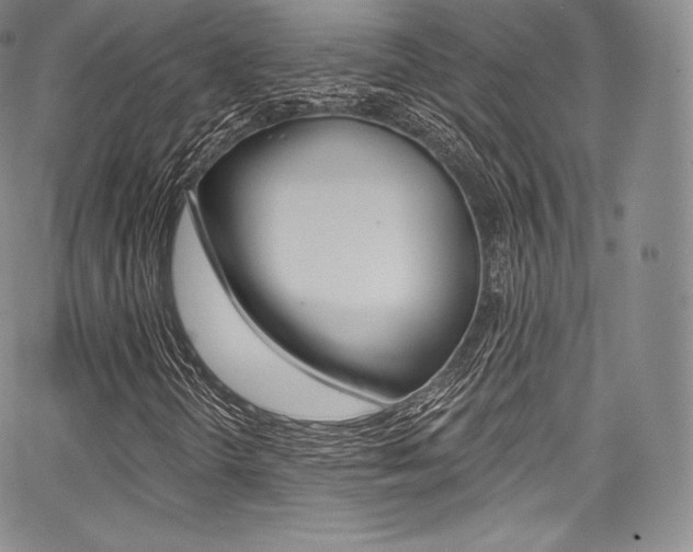 X0000068321298200604211001