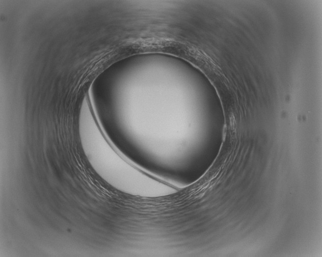 X0000068321300200604211001