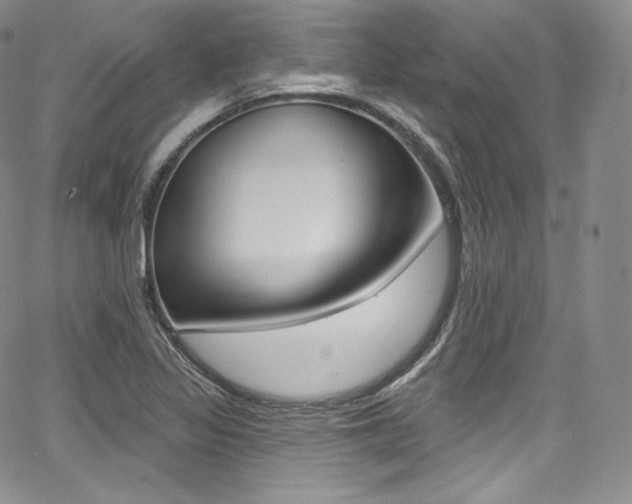 X0000068321317200604211001