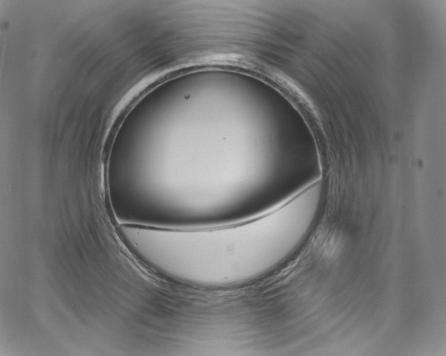 X0000068321324200604211001