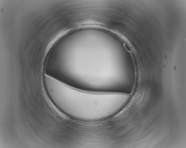X0000068321333200604211002