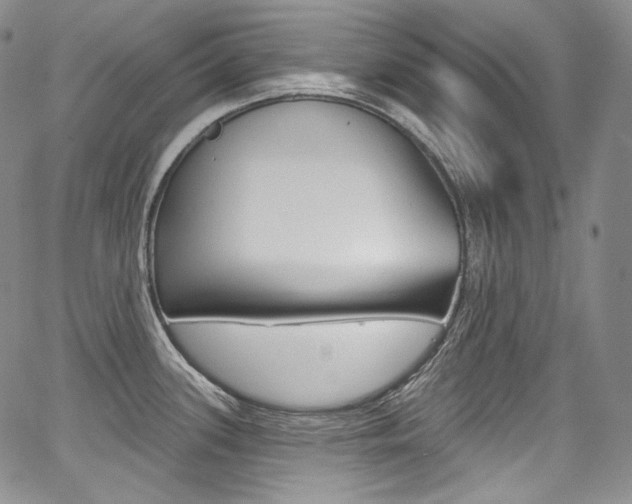 X0000068321339200604211002