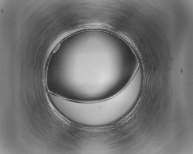 X0000068321342200604211002