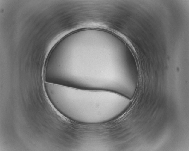 X0000068321343200604211002