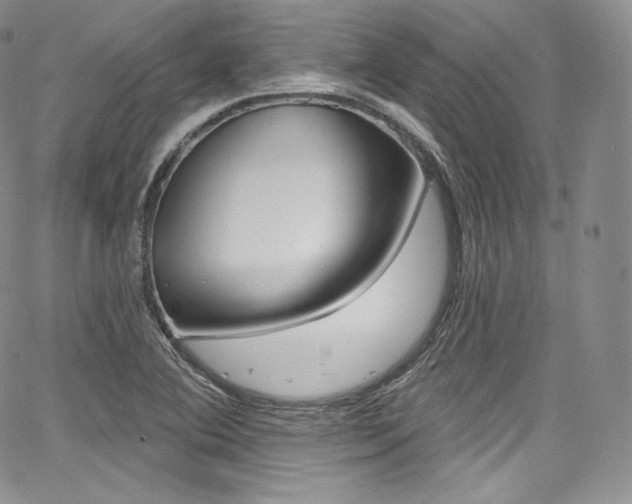 X0000068321364200604211001