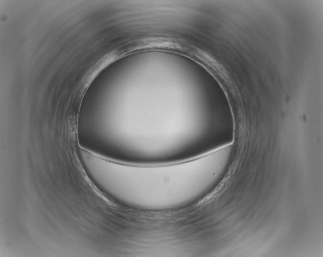 X0000068321377200604211001