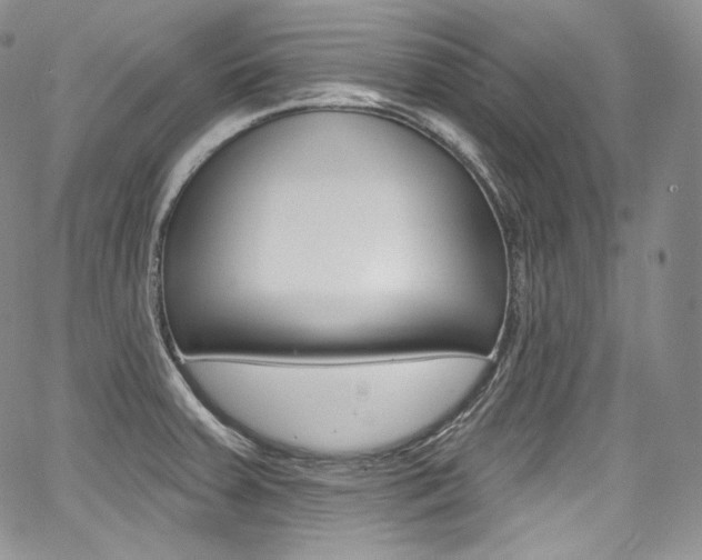 X0000068321379200604211000