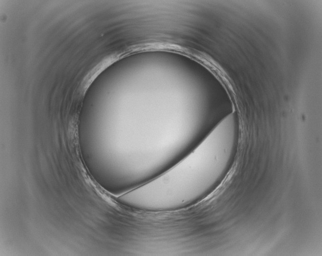 X0000068321385200604211000