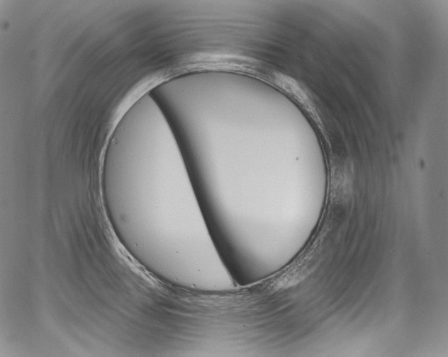 X0000068321386200604211000