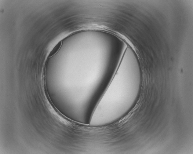 X0000068321387200604211000