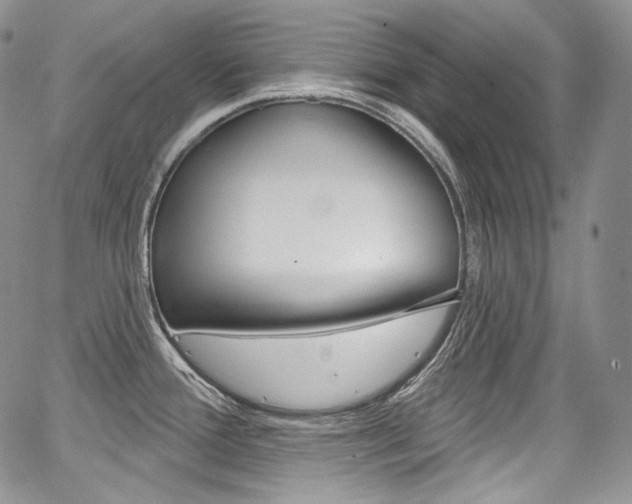 X0000068321388200604211000