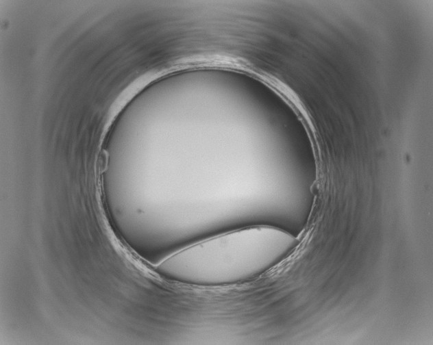 X0000068321389200604211000