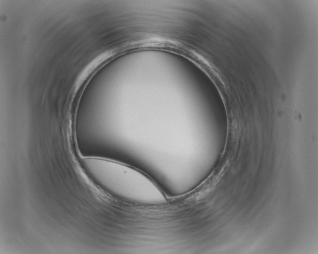X0000068321418200604211000