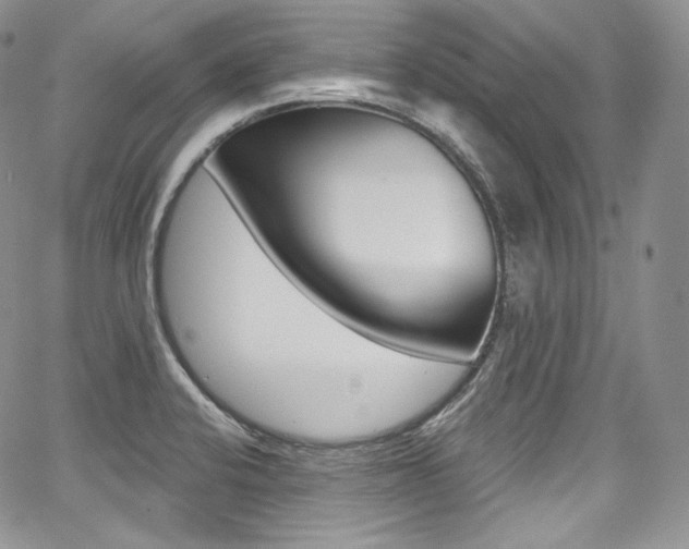 X0000068321424200604211000