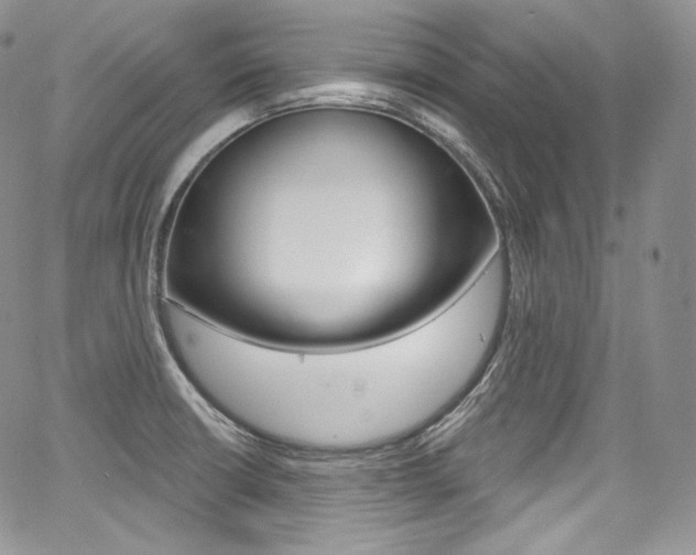 X0000068321426200604211000