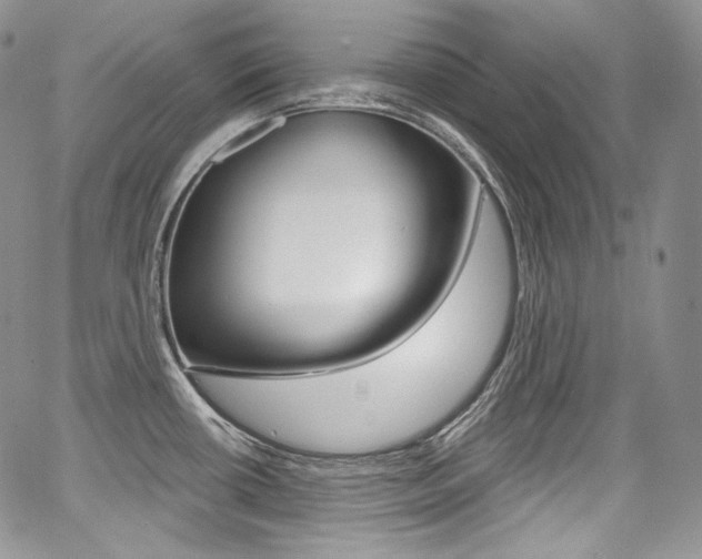 X0000068321434200604211000
