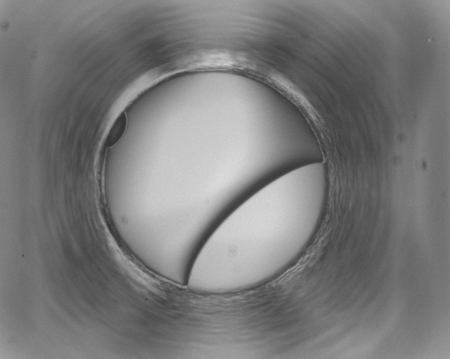 X0000068321475200604210959
