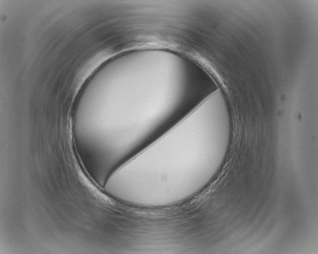 X0000068321476200604210959