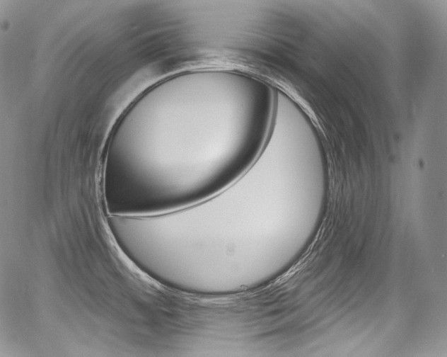 X0000068321484200604210959