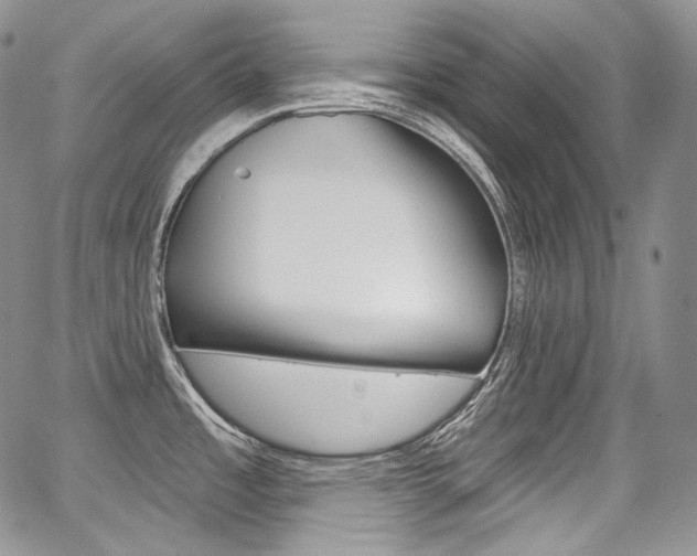 X0000068321485200604210959