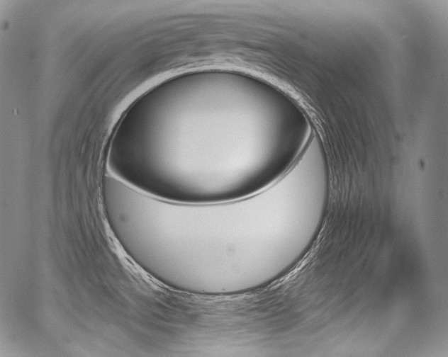 X0000068321534200604210959