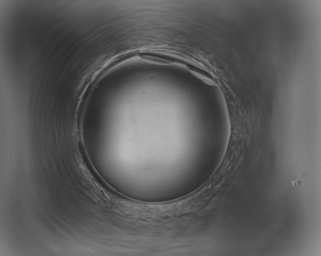 X0000068320002200604211217