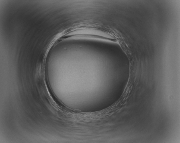 X0000068320003200604211217