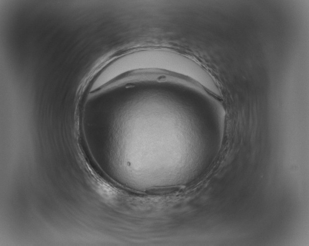 X0000068320005200604211217
