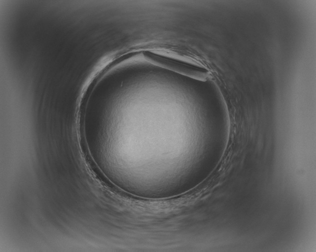 X0000068320006200604211217