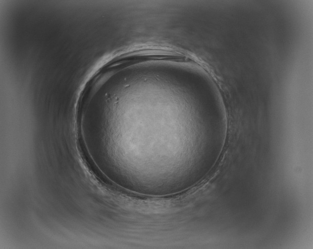 X0000068320008200604211217