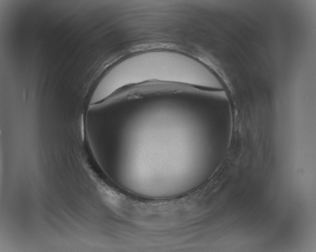 X0000068320013200604211217