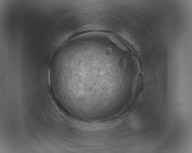 X0000068320014200604211217