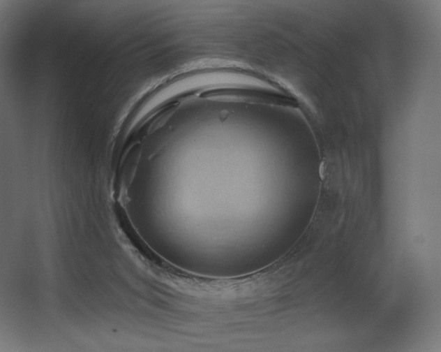X0000068320015200604211217
