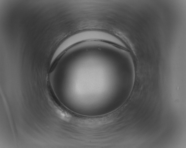 X0000068320017200604211217