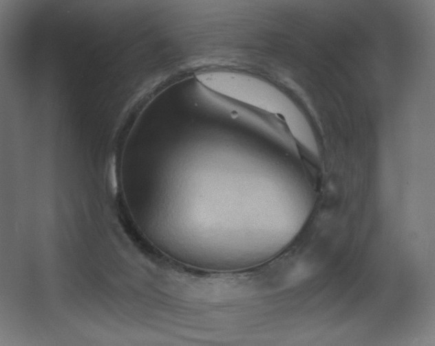 X0000068320020200604211217