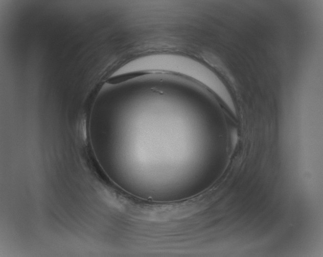 X0000068320021200604211217