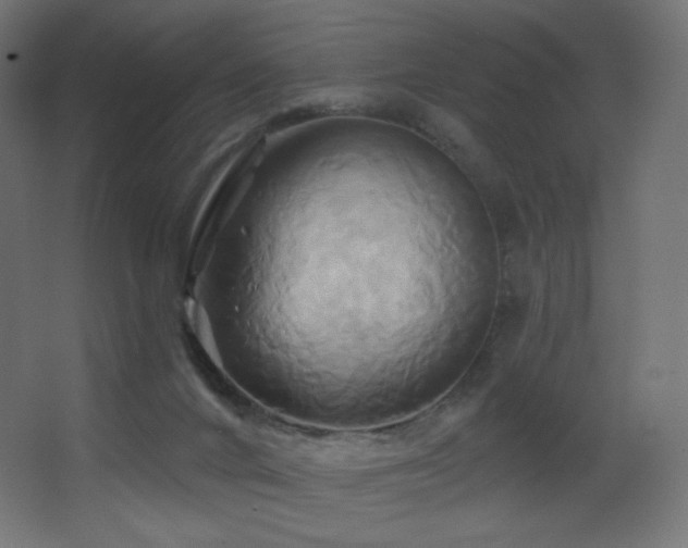 X0000068320024200604211217