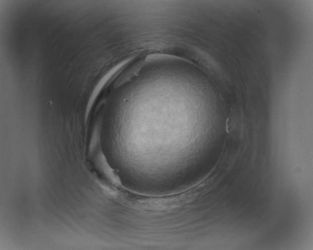 X0000068320025200604211217