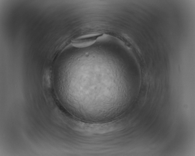 X0000068320026200604211217